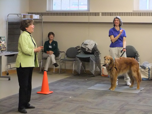 therapy dog course