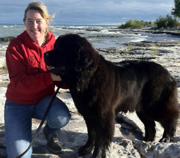 Luna, the 5yo Newfoundland is Pet Partners with Kari B.