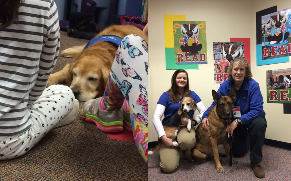 Farch – Literacy Week at Sauk Trail Elementary | Dogs On Call, Inc.