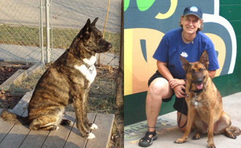 Pet Partners Profile: Karen with Shaka and Zombie