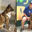 Pet Partners Profile: Karen with Shaka and Zombie