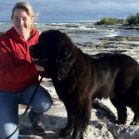 Luna, the 5yo Newfoundland is Pet Partners with Kari B.