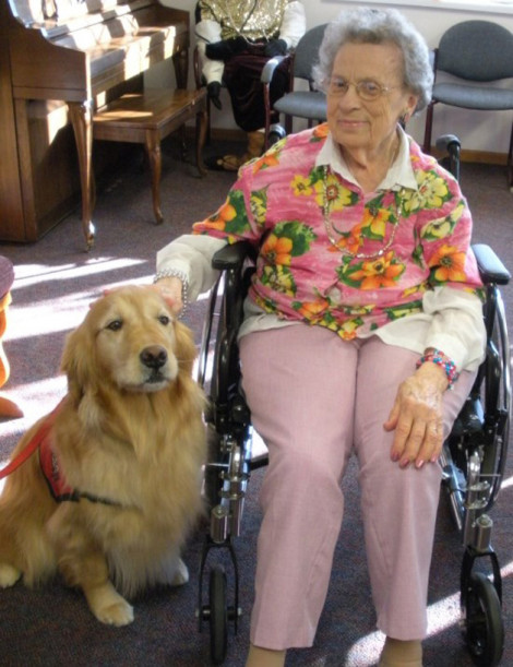 The Fearful Lady & the Therapy Dog