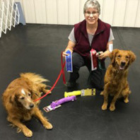 Joan with her dogs Shelby and Kalli. Showing some ribbons won