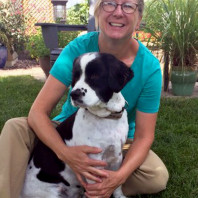 Pet Profile: Tracy and Oliver, Springer/Collie mix