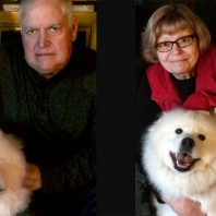 Jan and Mike team up with therapy dog Cricket, a Samoyed
