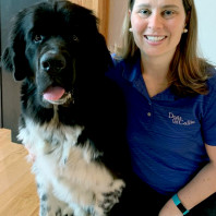 Pet Partner Amy with her Landseer Newfoundland Bozeman