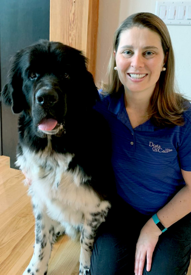 Pet Partner Amy with her Landseer Newfoundland Bozeman
