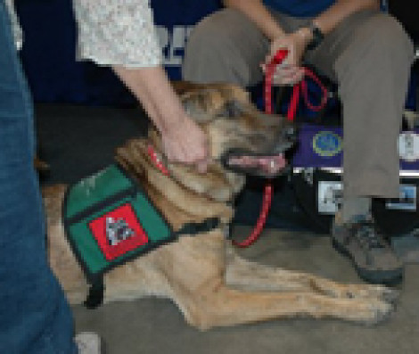 Dogs On Call at Women’s Expo