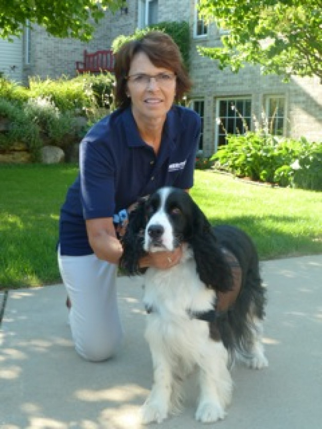 Pet partners Pat and Wilson, the springer spaniel read dog